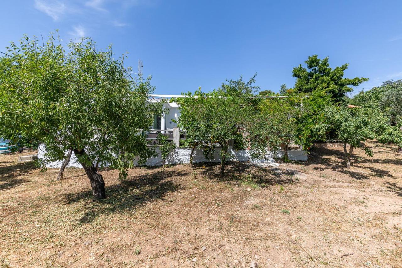 Skopelos Amigdalia Cottage Extérieur photo