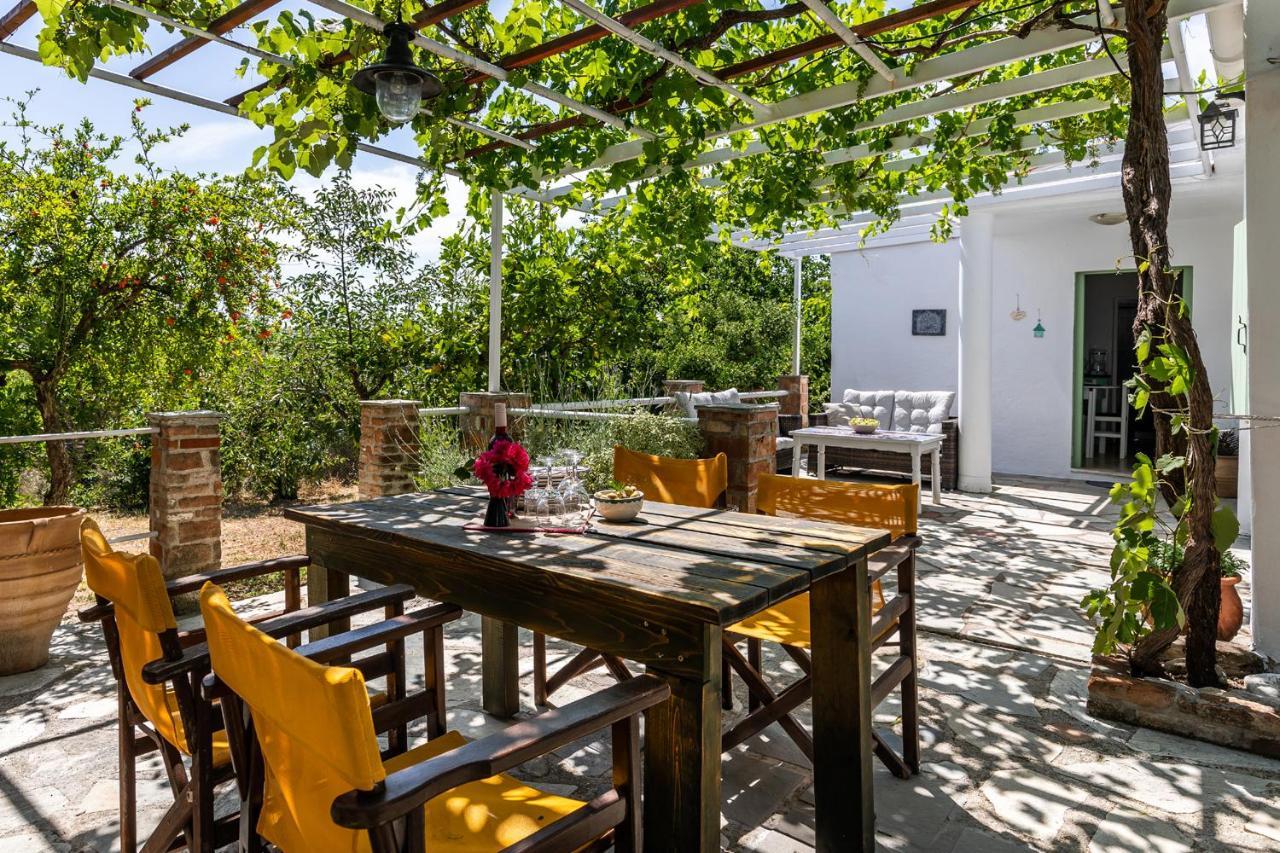 Skopelos Amigdalia Cottage Extérieur photo